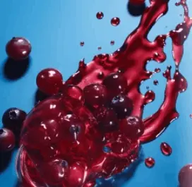 ProvaDent Ingredients 